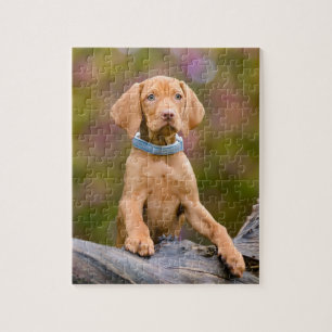 Puzzle Photo puppyeyed mignonne de chiot de chien de