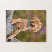 Puzzle Photo puppyeyed mignonne de chiot de chien de (Horizontal)