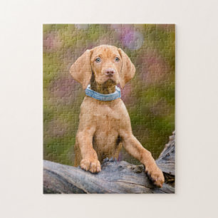 Puzzle Photo puppyeyed mignonne de chiot de chien de