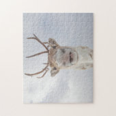 Puzzle Photo Reindeer (Vertical)