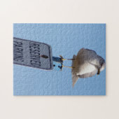 Puzzle Photo Seagull (Horizontal)