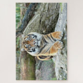 Puzzle Photo tiger, animaux 0313. (Vertical)