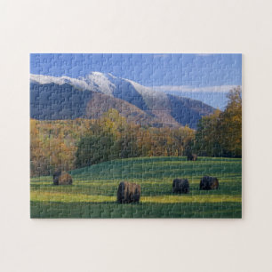 Puzzle photo Trois saisons avec boîte cadeau
