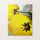 Puzzle photo Tulip Jaune (Vertical)