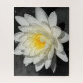 Puzzle Photo White Water Lily (Vertical)