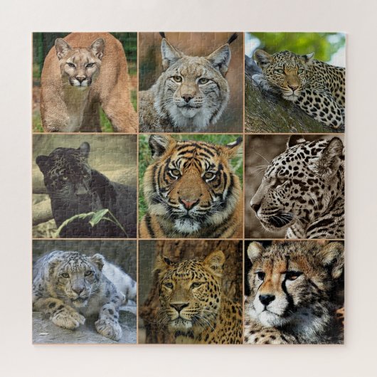 Puzzle photo Wild Cats (Horizontal)