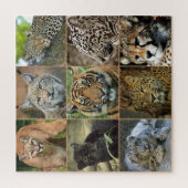 Puzzle photo Wild Cats (Vertical)