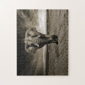 Puzzle Photo Wildlife Bull Elephant (Vertical)