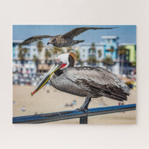 Puzzle Photobombs Seagull Photo Portrait,