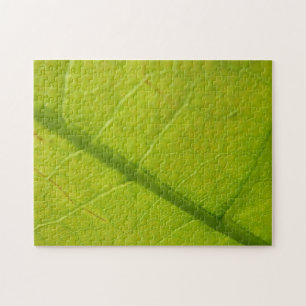 Puzzle Photographie botanique de la nature à feuille vert