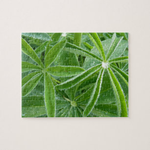 Puzzle Photographie botanique Feuille de Lupin
