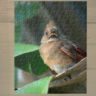Puzzle Photographie cardinale naissante