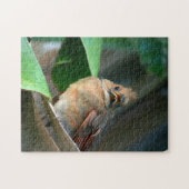 Puzzle Photographie cardinale naissante (Horizontal)