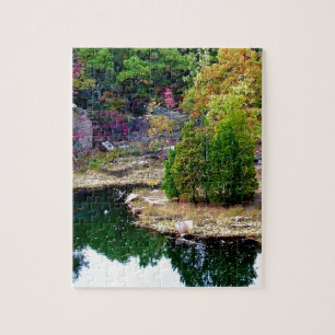 Puzzle Photographie d'arbres d'automne du Missouri