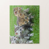 Puzzle Photographie de Cat Kitten Photographie d'un anima (Vertical)