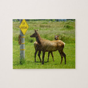Puzzle Photographie de faune sauvage en Californie : Élan