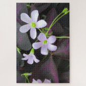 Puzzle Photographie de fond des fleurs de Plante Shamrock (Vertical)