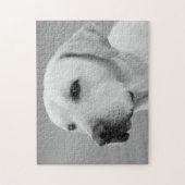 Puzzle Photographie de Golden Labrador Retriever| BW (Vertical)