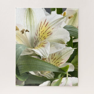 Puzzle Photographie de gros plan de fleurs d'Alstroemeria