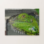 Puzzle Photographie de gros plan d'iguane vert (Horizontal)