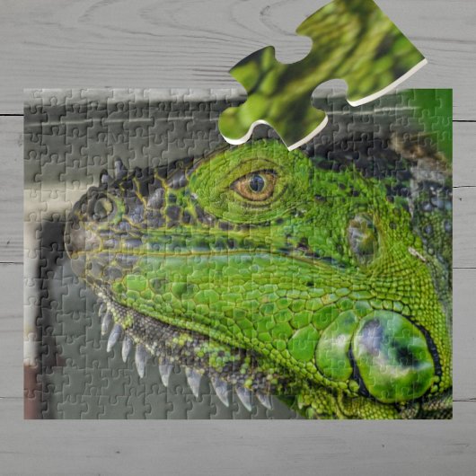 Puzzle Photographie de gros plan d'iguane vert