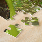 Puzzle Photographie de la nature du papillon Morpho bleu (Côté)