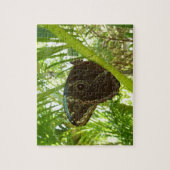 Puzzle Photographie de la nature du papillon Morpho bleu (Vertical)