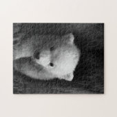Puzzle Photographie de l'ours animal mère et bébé (Horizontal)