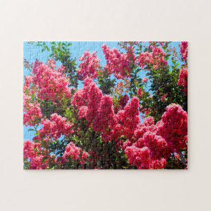 Puzzle Photographie de myrte de colza rose