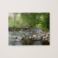 Photographie de nature de Oak Creek et canards col
