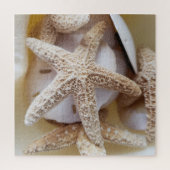 Puzzle Photographie de Starfish et de Sand Dollars (Vertical)