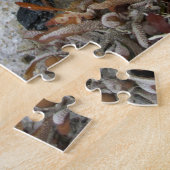 Puzzle Photographie des trésors marins (Côté)