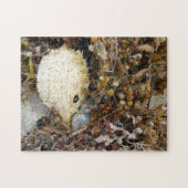 Puzzle Photographie des trésors marins (Horizontal)