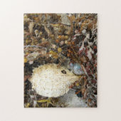 Puzzle Photographie des trésors marins (Vertical)