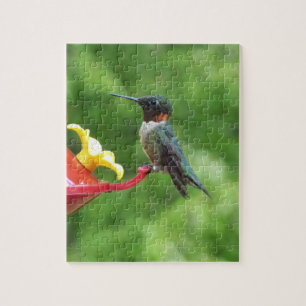 Puzzle Photographie d'oiseau Colibri à gorge rubis