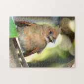 Puzzle Photographie du cardinal naissant Baby Bird (Horizontal)