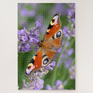 Puzzle Photographie d'un papillon paon sur une fleur