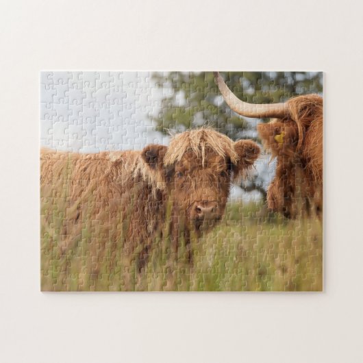 Puzzle Photographie écossaise de vache (Horizontal)