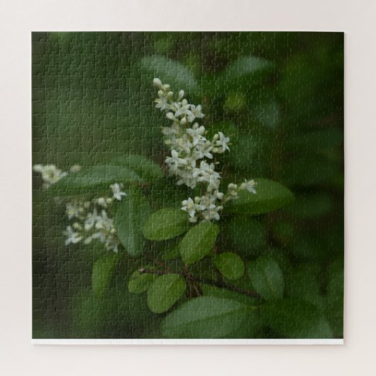 Puzzle Photographie florale en triptyque (Vertical)