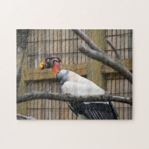 Puzzle Photographie vautour