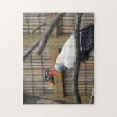 Puzzle Photographie vautour (Vertical)