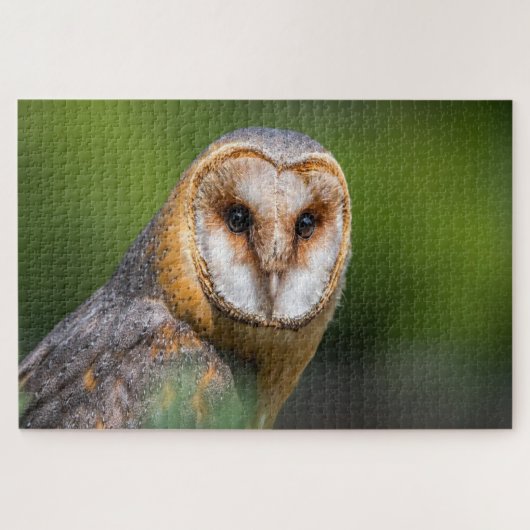Puzzle Photos de Barn owl (Horizontal)