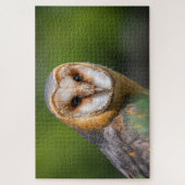 Puzzle Photos de Barn owl (Vertical)
