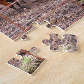 Puzzle Photos de Calves du Minnesota. (Côté)