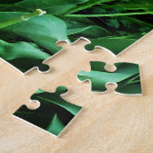 Puzzle Photos de tulipes rouges et roses (Côté)