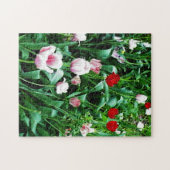 Puzzle Photos de tulipes rouges et roses (Horizontal)