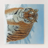 Puzzle Photos du tigre d'hiver des monts de neige (Horizontal)