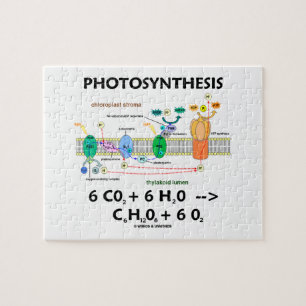 Puzzle Photosynthèse (Formule Chimique Dépendante De La