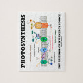 Puzzle Photosynthèse la source d'énergie verte originale (Vertical)