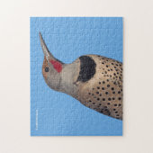 Puzzle Pic de Flicker du Nord au soleil (Vertical)